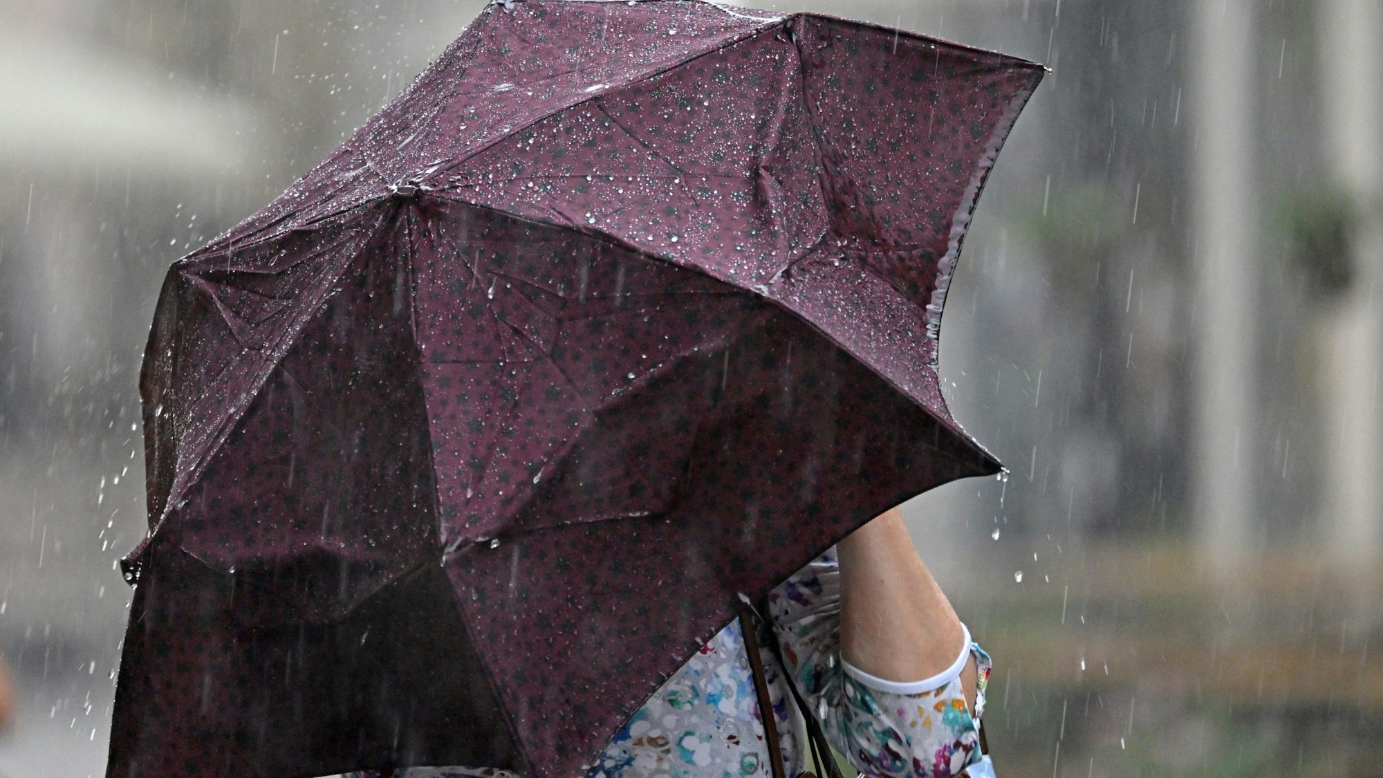 Eine Frau mit Regenschirm läuft durch den Starkregen.