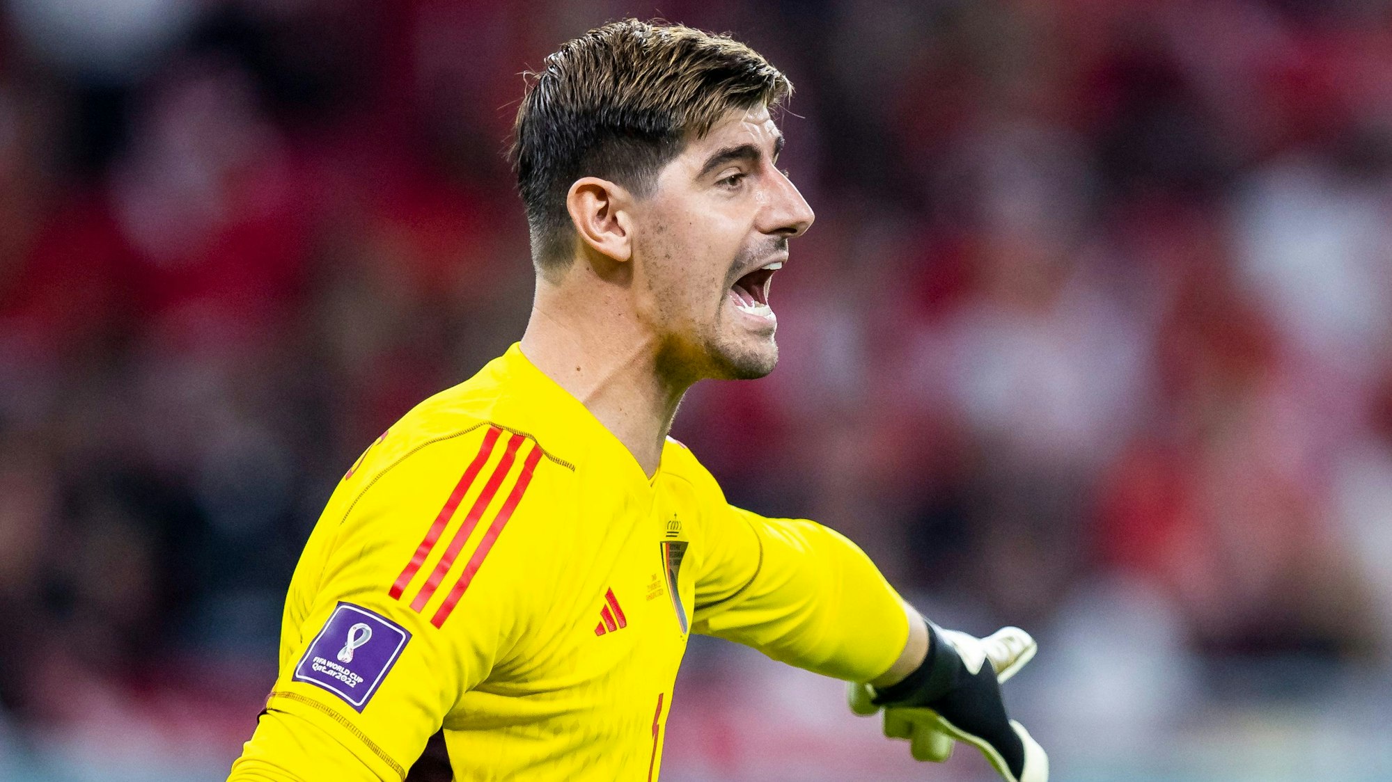 Belgiens Torwart Thibaut Courtois reagiert im Spiel.