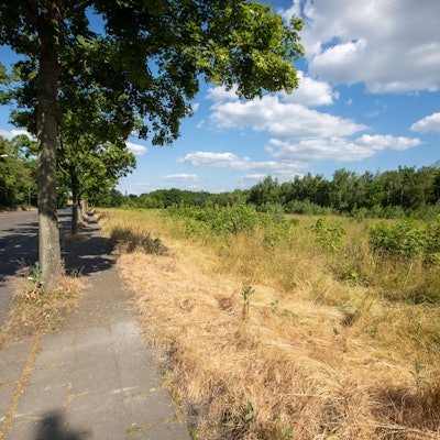 Eine Straße mit einem Feld daneben ist zu sehen.