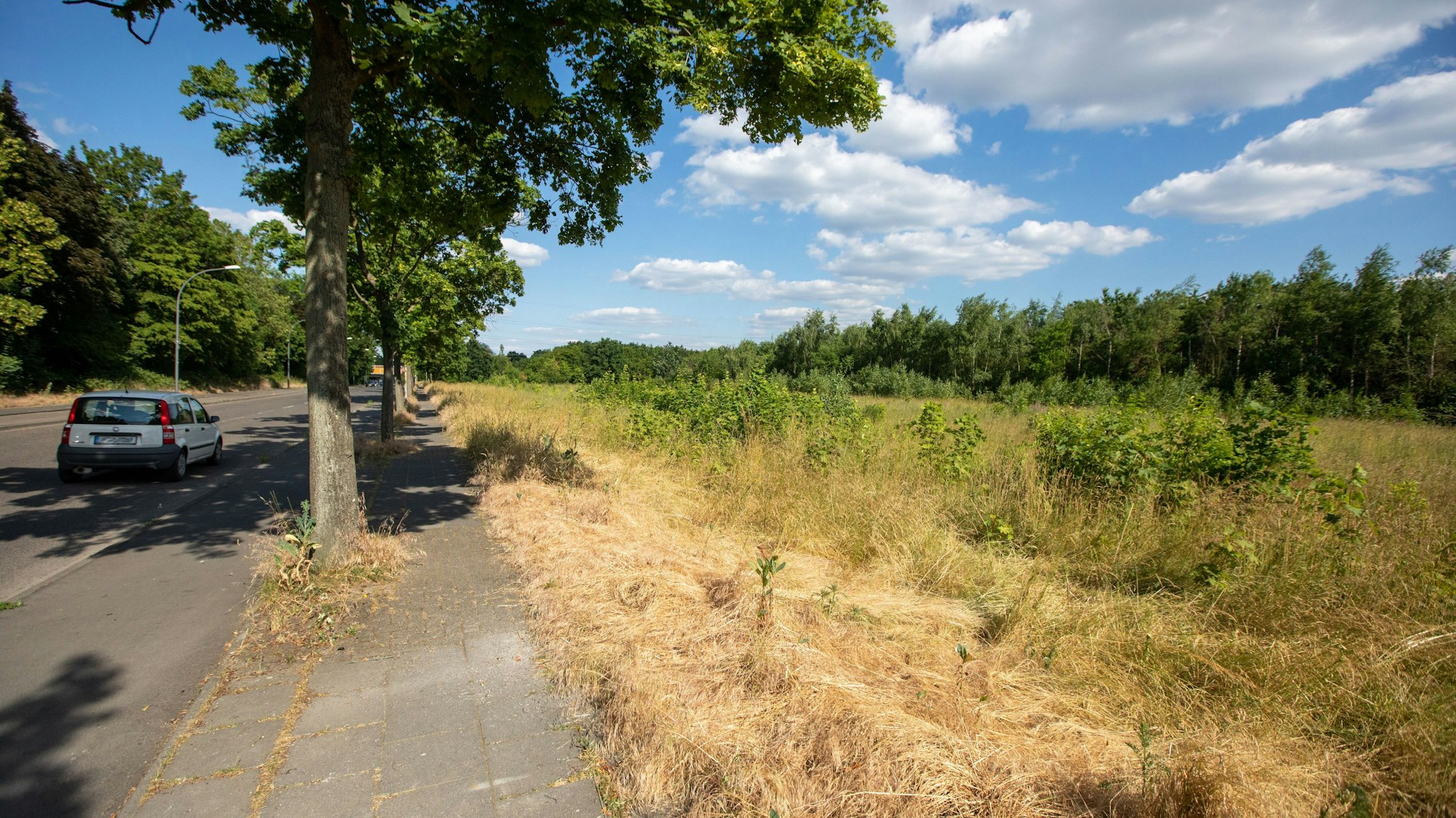 Eine Straße mit einem Feld daneben ist zu sehen.