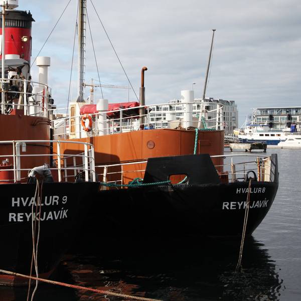 Island, Reykjavik: Die Walfangschiffe Hvalur 9 (l) und Hvalur 8 liegen im Hafen.