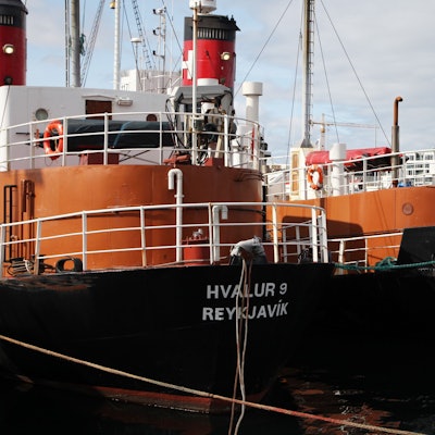 Island, Reykjavik: Die Walfangschiffe Hvalur 9 (l) und Hvalur 8 liegen im Hafen.