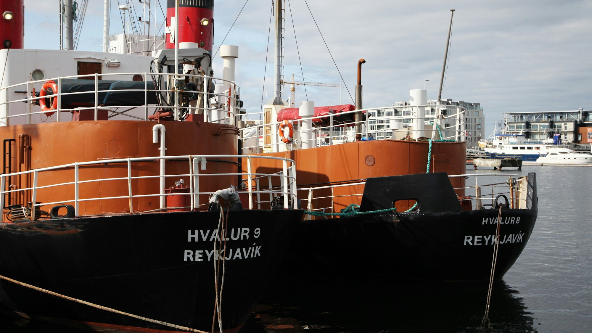 Island, Reykjavik: Die Walfangschiffe Hvalur 9 (l) und Hvalur 8 liegen im Hafen.
