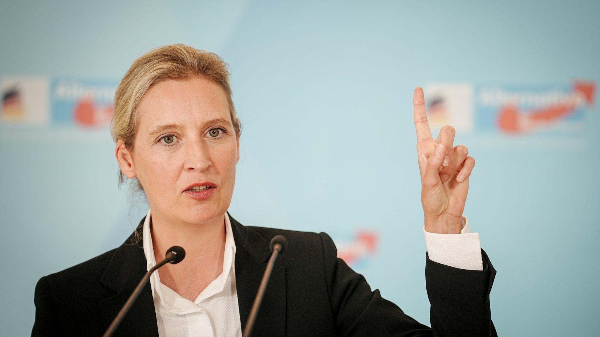 Alice Weidel gibt ein Pressestatement zu Beginn der Fraktionssitzung ihrer Partei. (Archivbild)