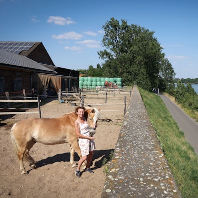 Petra Rottscheidt mit Haflinger Aladin auf dem Pflasterhof in Weiß. Nur die Hochwassermauer und der Leinpfad trennen das Grundstück vom Rhein.