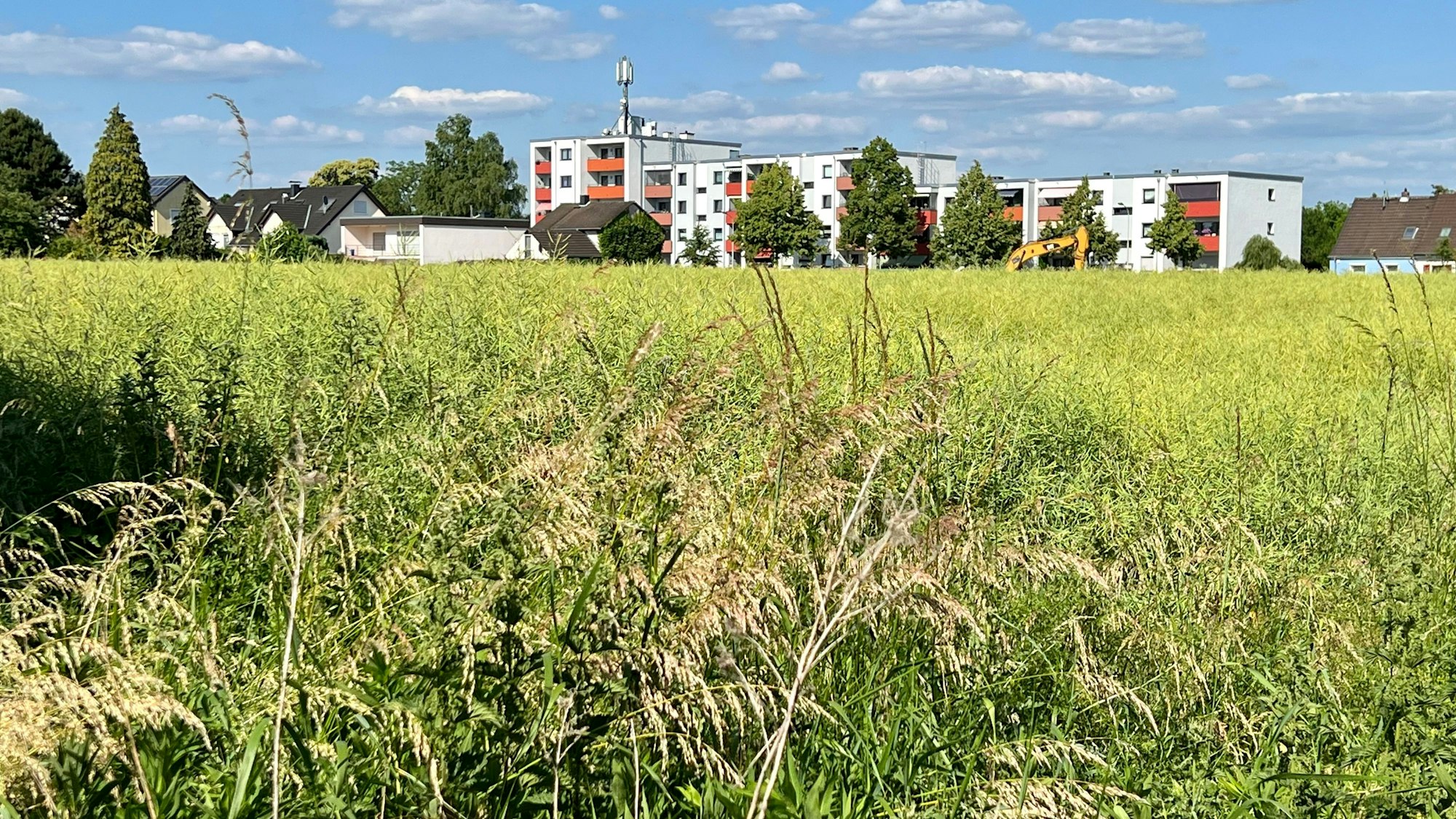 Auf diesem Feld nordwestlich der Sandstraße in Opladen soll ein neues Wohngebiet entstehen.