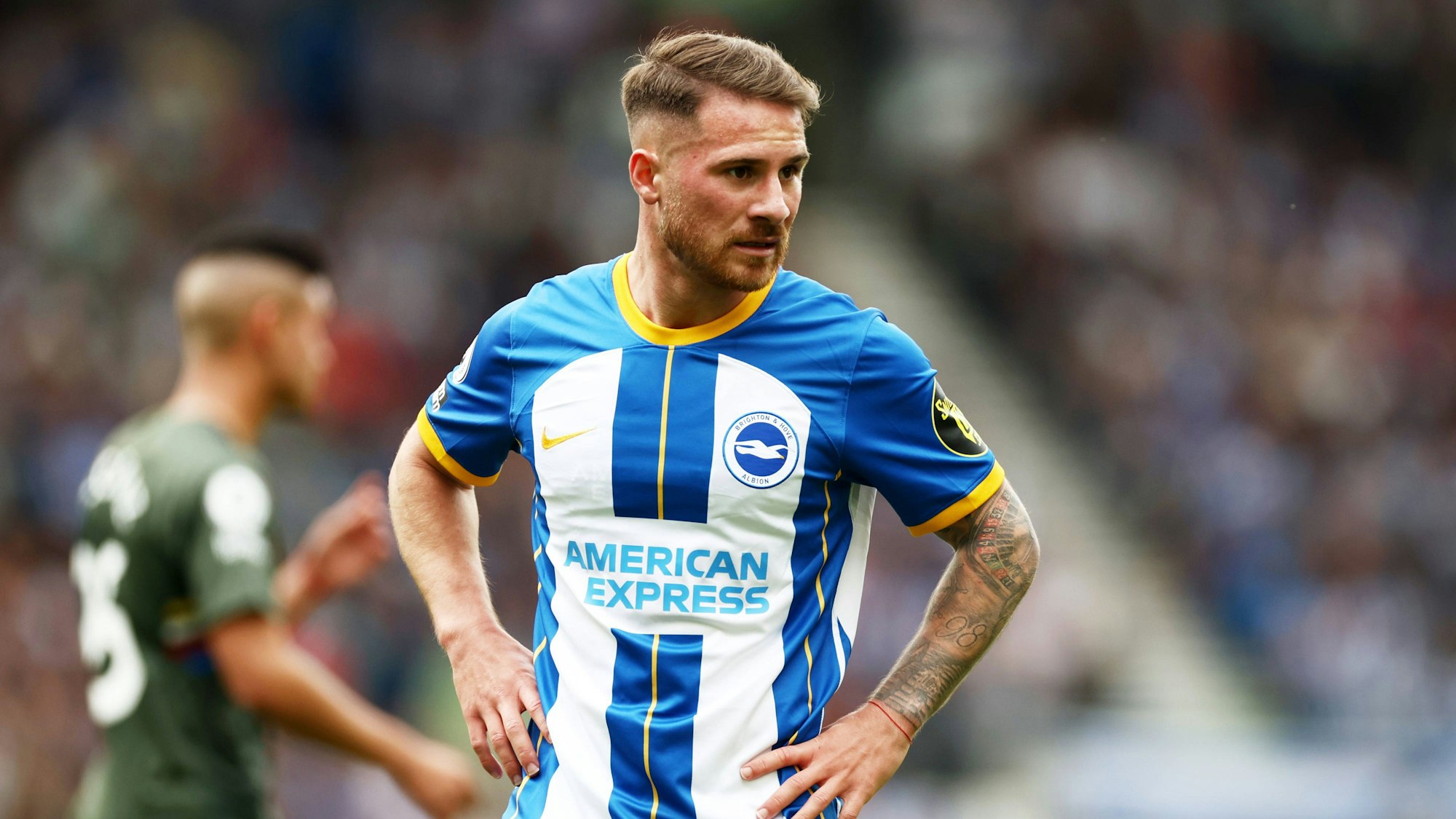 Alexis Mac Allister of Brighton and Hove Albion