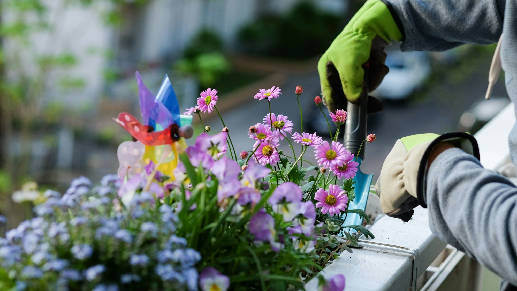 Eine Person setzt Blumen in einem Blumenkasten auf einem Balkon ein.