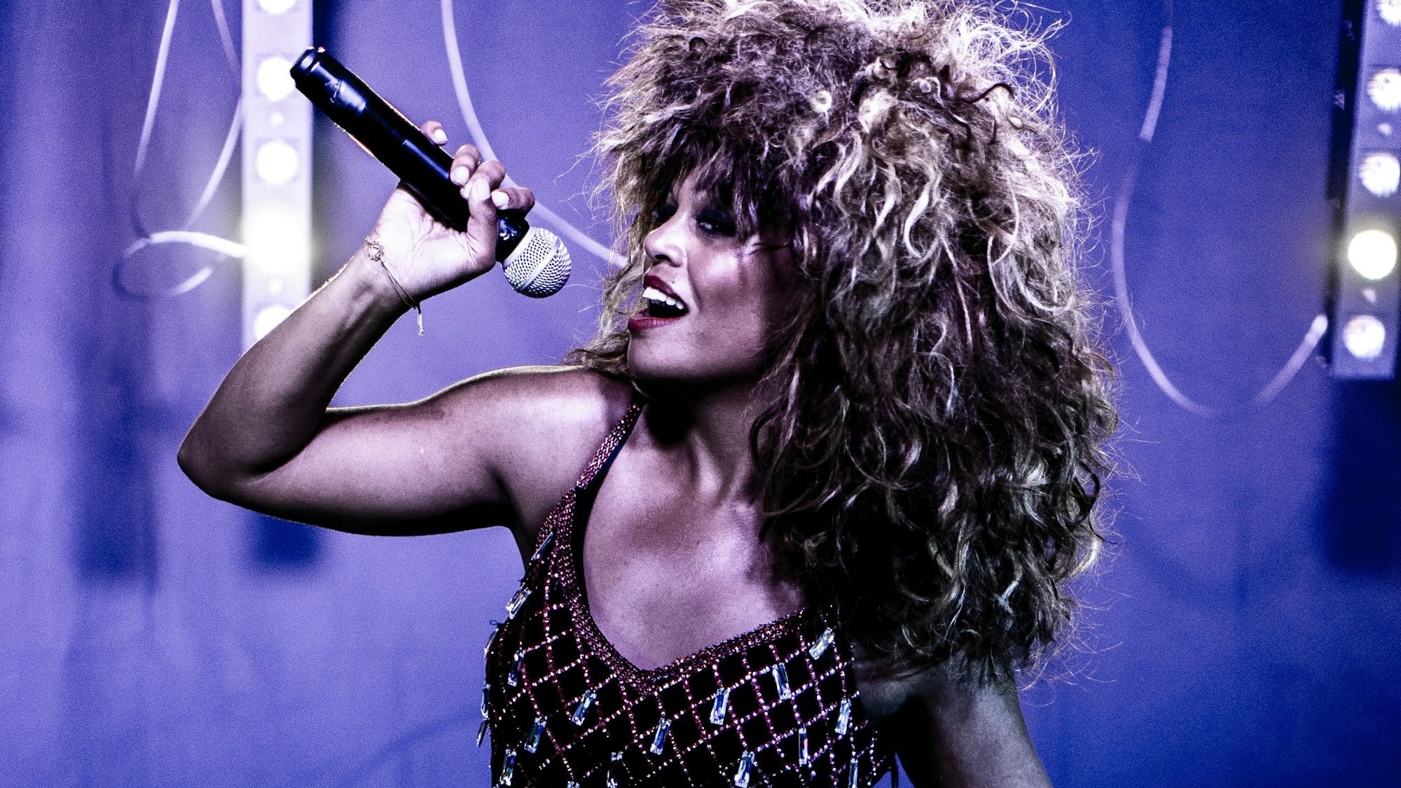 Tina Turner Show