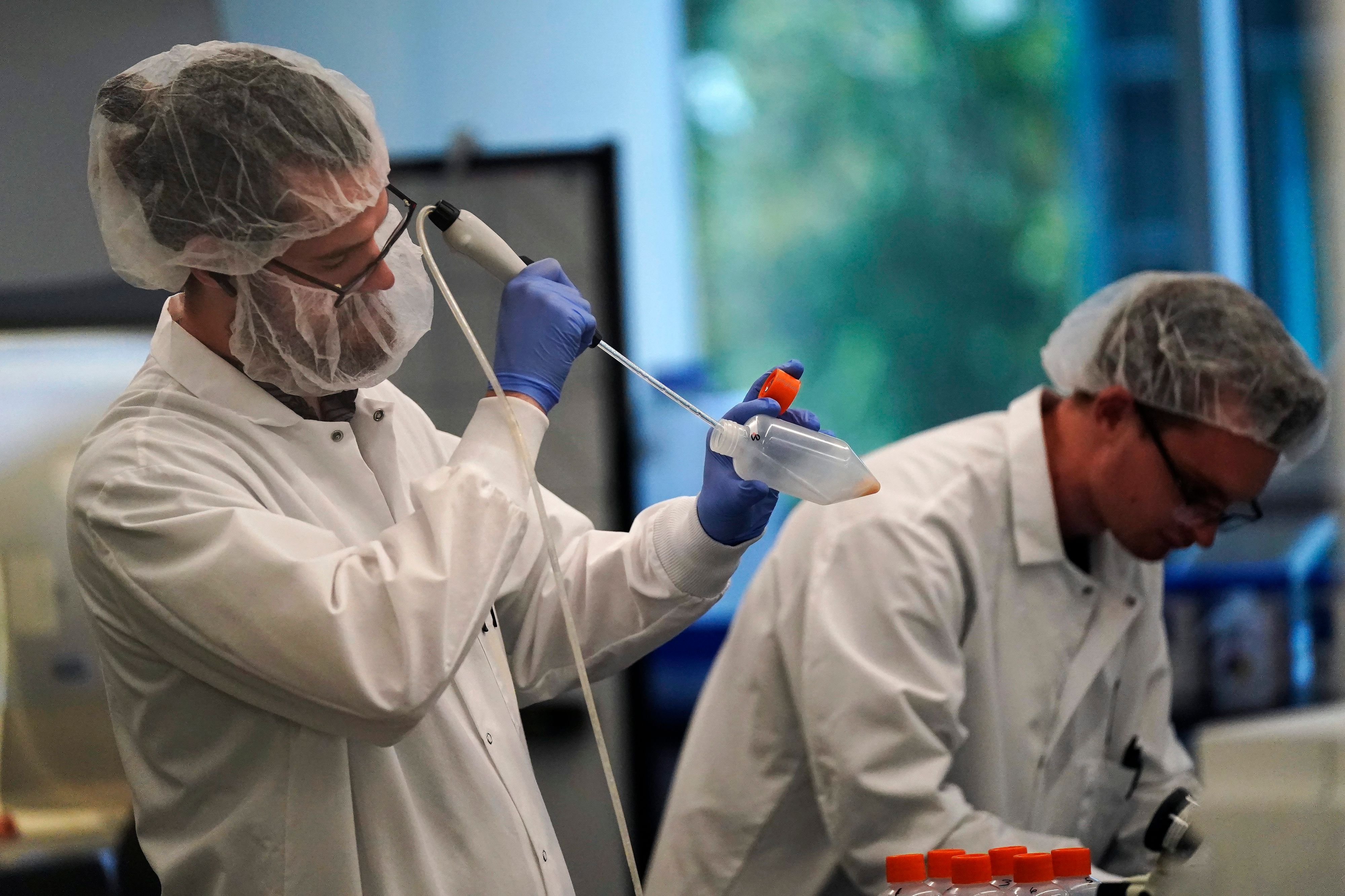 Wissenschaftler arbeiten an gezüchteten Labor-Hühnerfleisch