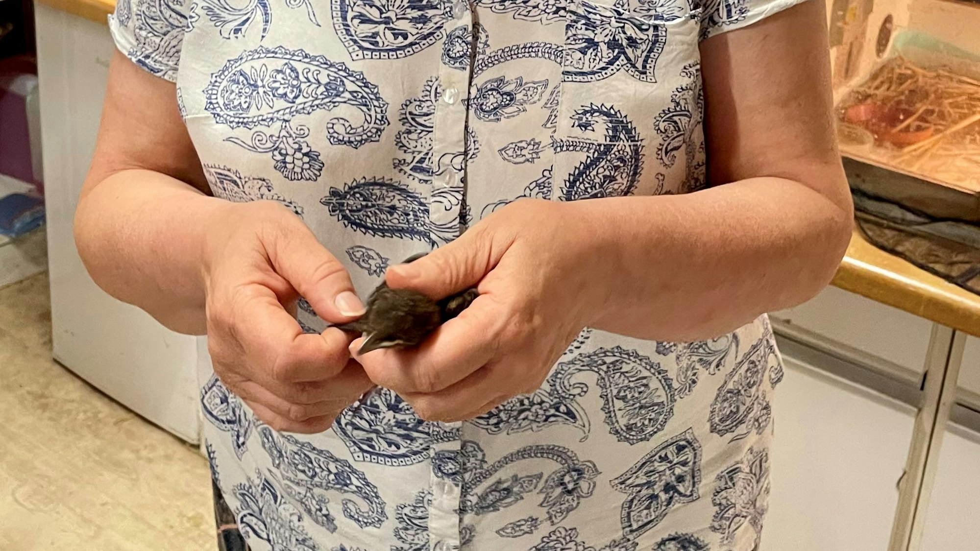 Angelika Bornstein hält einen kleinen Vogel in ihren Händen.