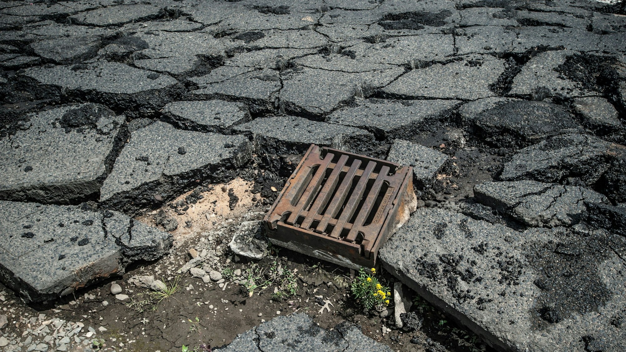 Entsiegelung, Entfernung einer Asphaltdecke. Foto: Ralf Krieger