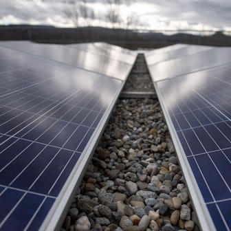 Das Foto zeigt eine Photovoltaikanlage.