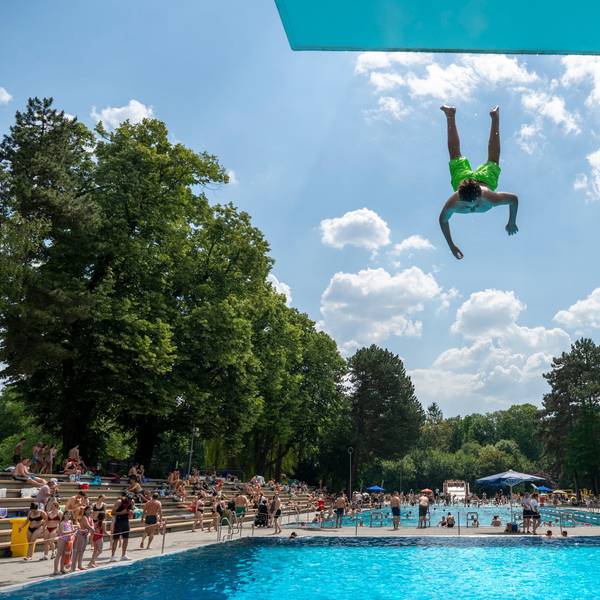 Ein Mann springt kopfüber vom Sprungbrett ins Becken des Kölner Stadionbad.