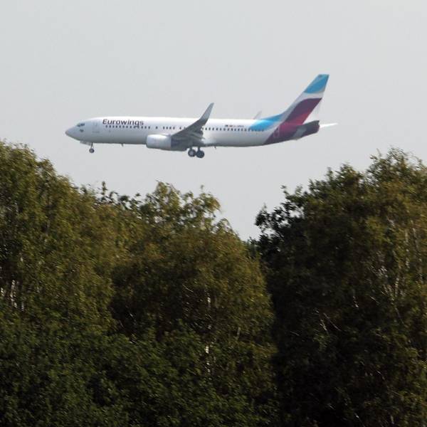 Ein Flugzeug fliegt über Bäume.