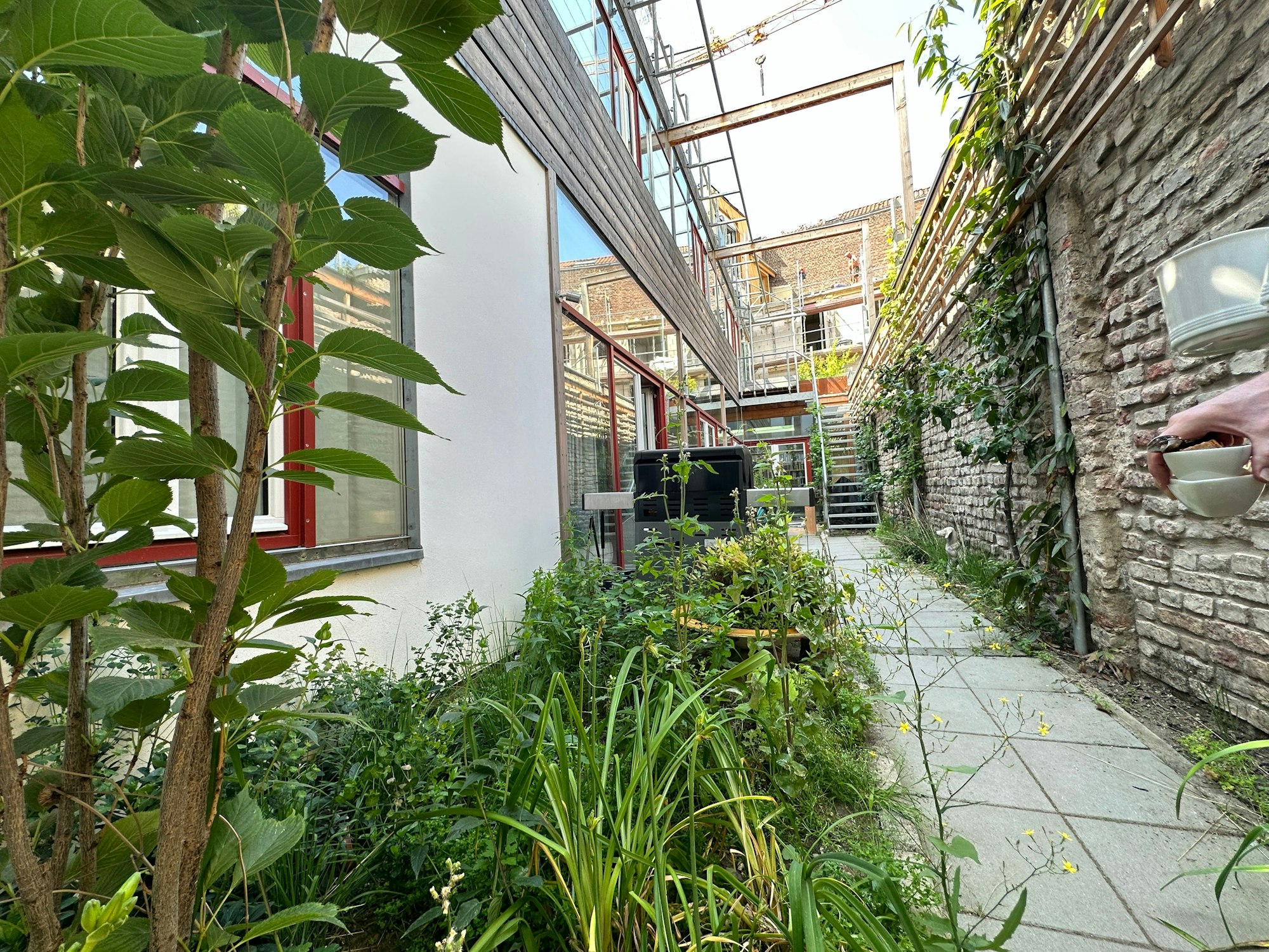 Ein Weg mit einem Beet, eine Ziegelwand und eine Hauswand sind zu sehen.