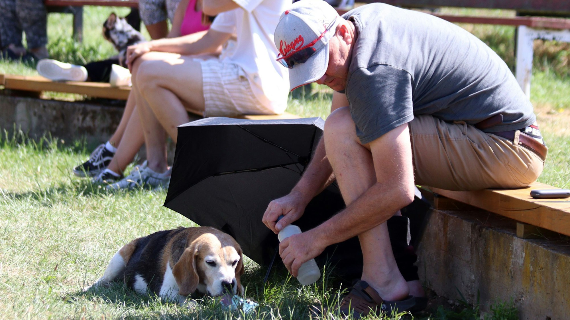 Ein Hund liegt halb im Schatten, sein Herrchen hat ihm etwas Wasser gegeben.