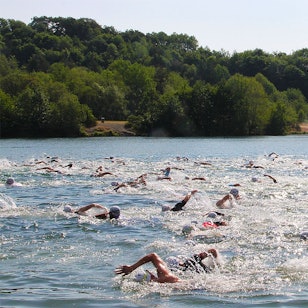 Das Starterfeld durchschwimmt den idyllisch gelegenen Freilinger See mit seinem bewaldeten Ufer.