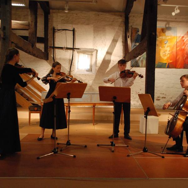 Die jungen Musiker mit ihren Streichinstrumenten beim Konzert.