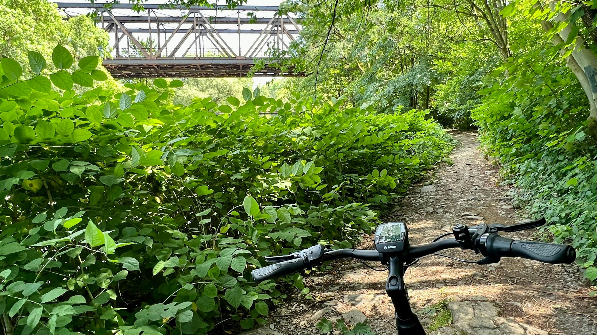Wupperrunde: Als Radweg ausgeschildert, aber gefährlich zu befahren ist der Wegabschnitt an der Südseite der doppelstöckigen Bahnbrücke – zu schmal, viel zu holprig.