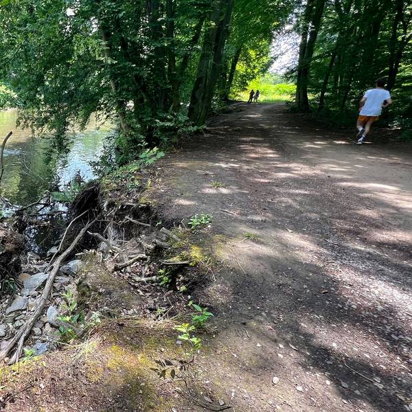Wupperrunde: Beim Hochwasser im Juli 2021 wurden mehrere Bäume am Ufer aus der Böschung gerissen.