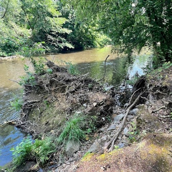 Wupperrunde: Beim Hochwasser im Juli 2021 wurden mehrere Bäume am Ufer aus der Böschung gerissen.