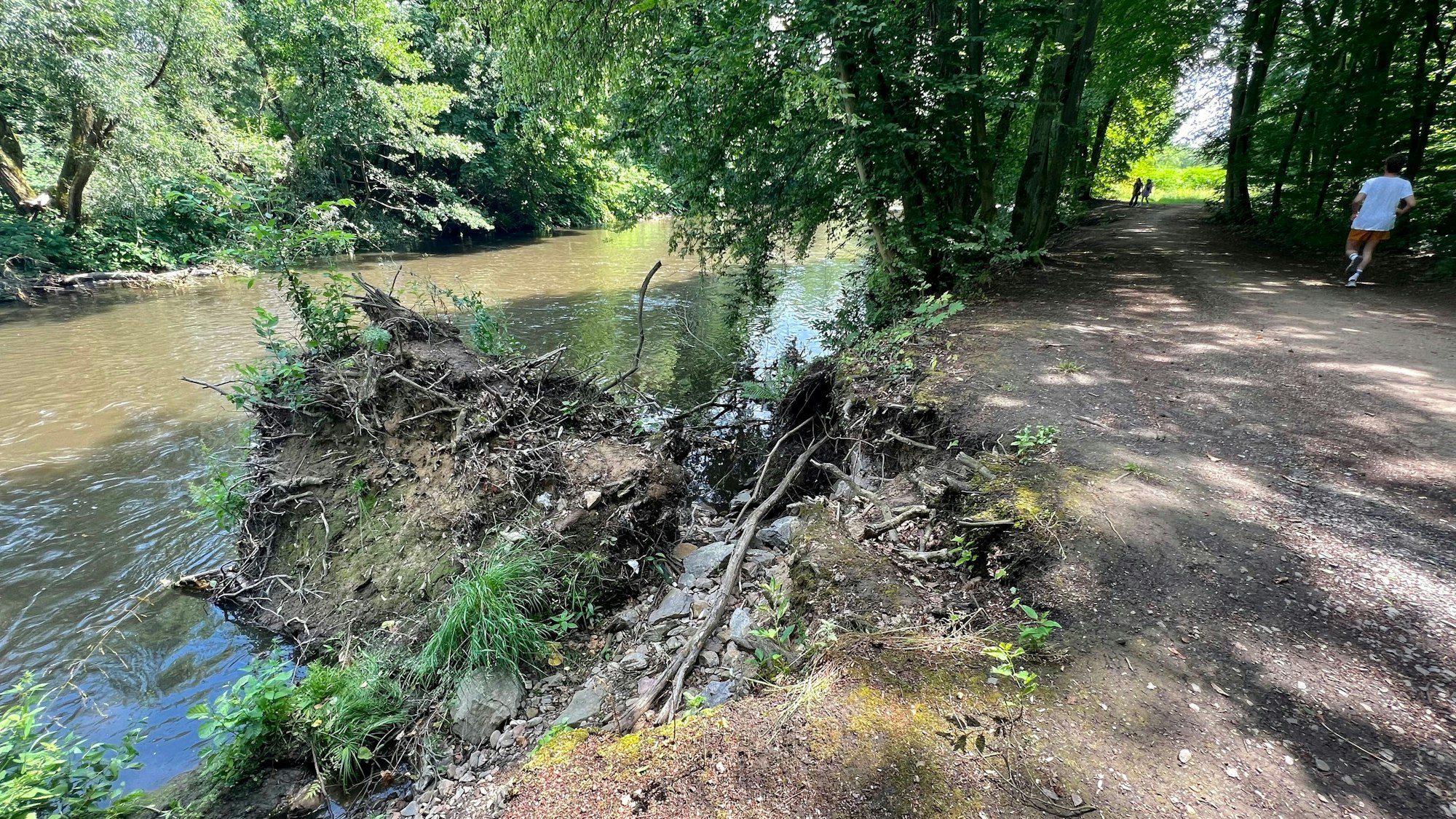Wupperrunde: Beim Hochwasser im Juli 2021 wurden mehrere Bäume am Ufer aus der Böschung gerissen.