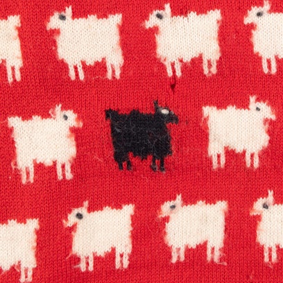 Eine Detailaufnahme eines Pullovers von Prinzessin Diana.