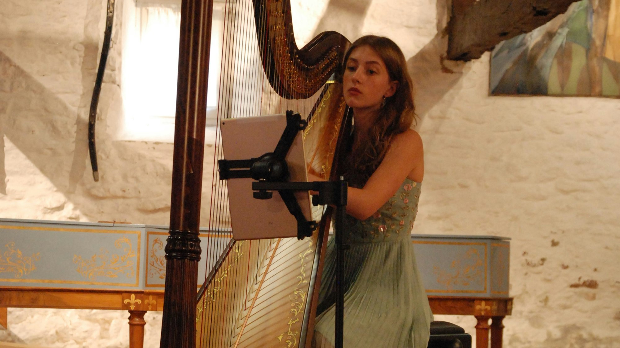 Das Bild zeigt eine junge Musikerin bei einer Harfen-Darbietung.