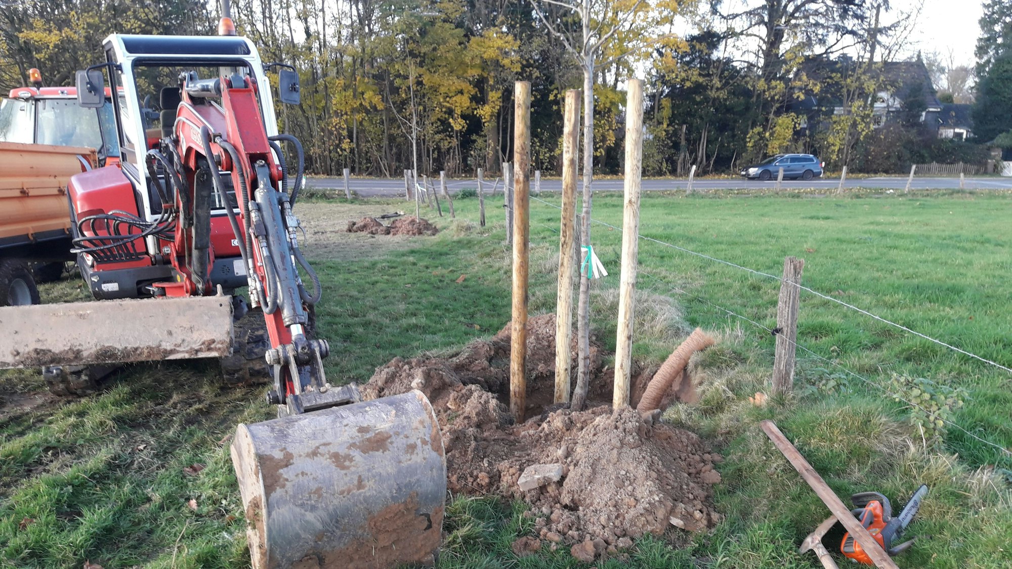 Im August 2020 startete in Burscheid eine Baumpflanz-Kampagne. Inzwischen gibt es dadurch 72 neue Bäume im Stadtgebiet.