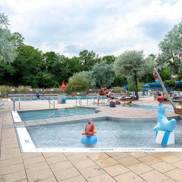 Ein dreigeteiltes Schwimmbecken mit Tierfiguren und ein Kinder-Piratenschiff gibt es im Höhenbergbad.