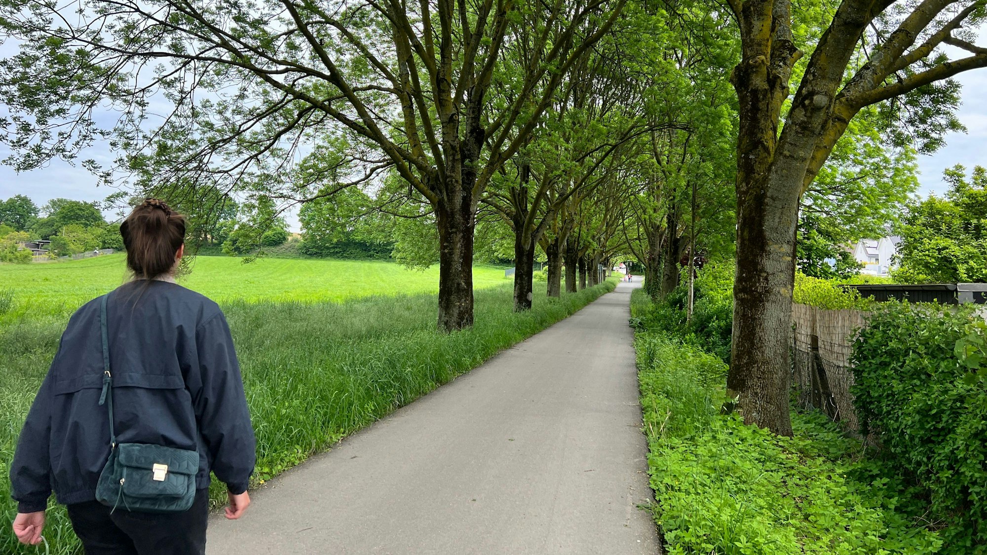 Kurz nach dem Start der Etappe geht es am Kleingartenverein Ruhlach durch diese Allee.