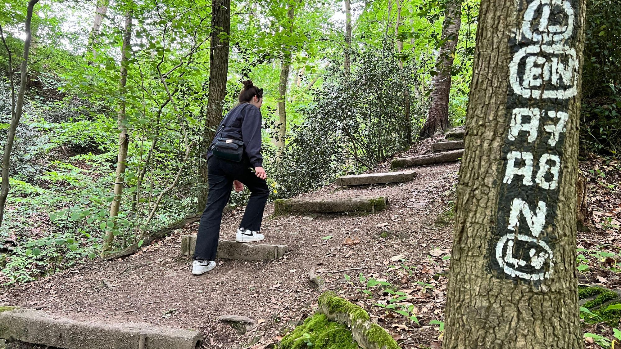 Den Hang hinauf führen die Stufen zum Lucasweg.