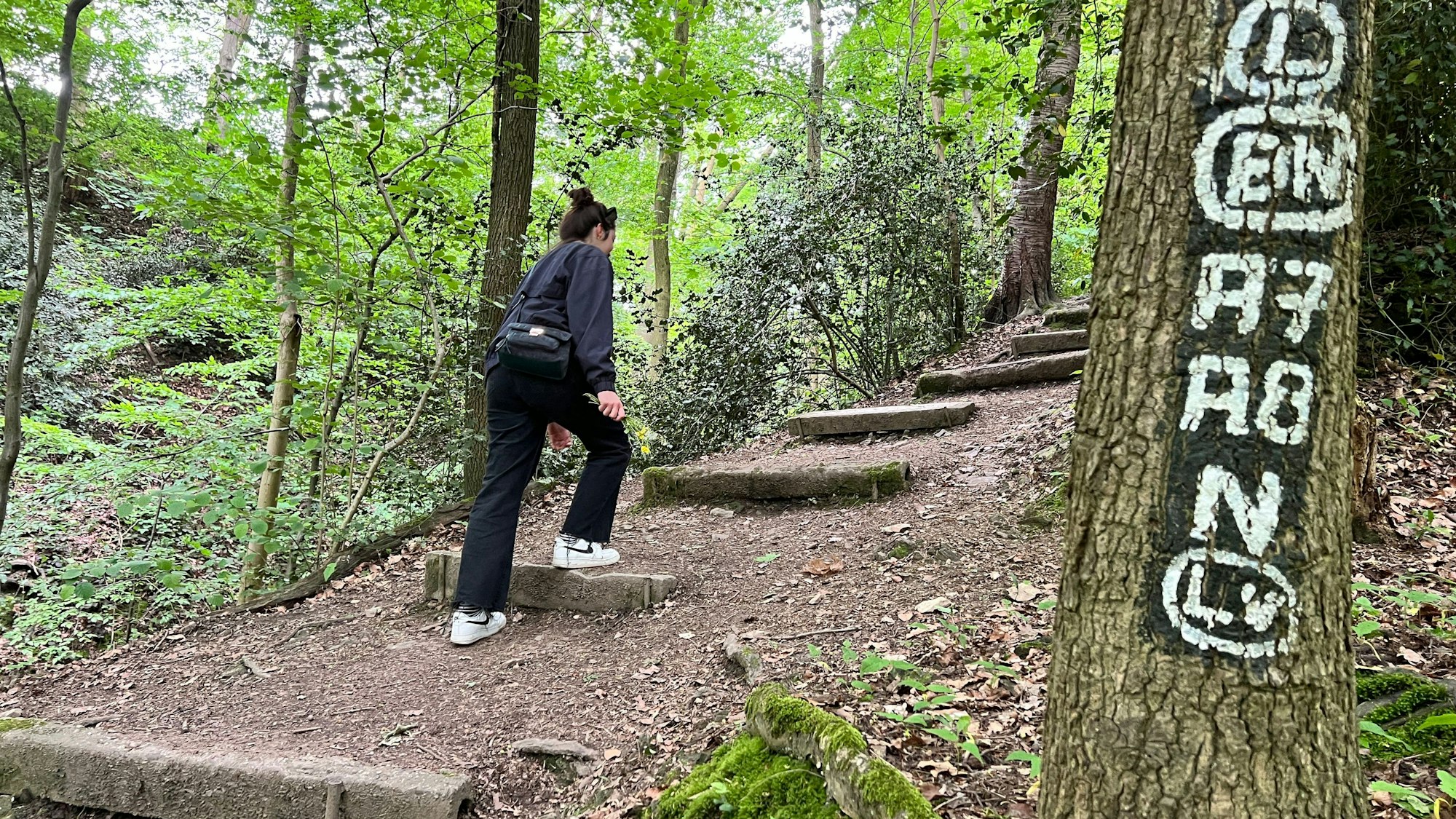 Den Hang hinauf führen die Stufen zum Lucasweg.