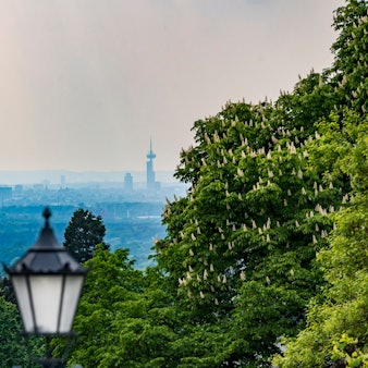 05.05.2022, Bensberg:
Feature Wetter Frühling Himmel Sonne Flora Dom
Blick auf Köln und den Kölner Dom von der Schlossstraße in Bensberg aus gesehen. Bensberg ist ein Stadtteil von der Stadt Bergisch Gladbach in NRW.
Die Mittelachse des Bensberger Schlosses und damit auch die Schlossstraße sind exakt auf den Kölner Dom ausgerichtet.
Donnerstag 5. Mai 2022
Aufgenommen am: 05.05.2022
Foto: Alexander Roll (Staff)