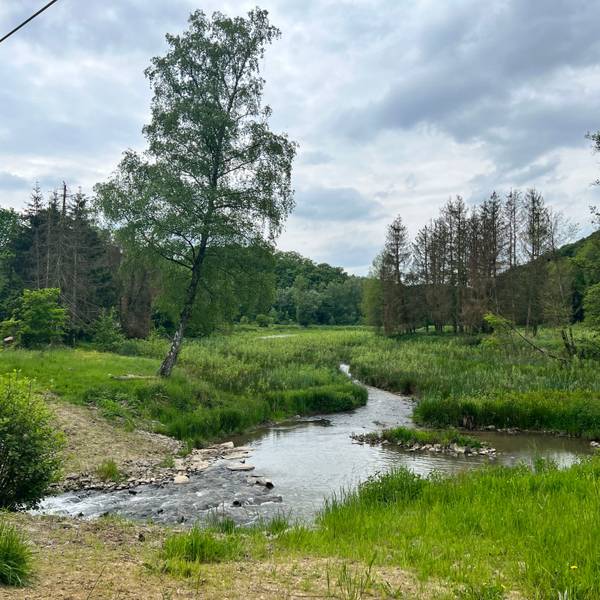 Der Murbach schlängelt sich östlich der Wupper idyllisch durchs Tal an der Stadtgrenze zwischen Leverkusen und Leichlingen.