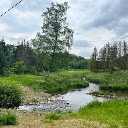 Der Murbach schlängelt sich östlich der Wupper idyllisch durchs Tal an der Stadtgrenze zwischen Leverkusen und Leichlingen.