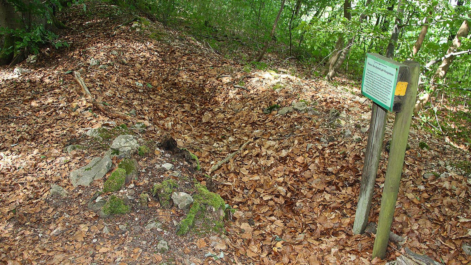 Auf dem Waldboden sind die Reste der Bruchsteinmauer zu erkennen. Ein Schild verweist auf die Bedeutung der Mauer.