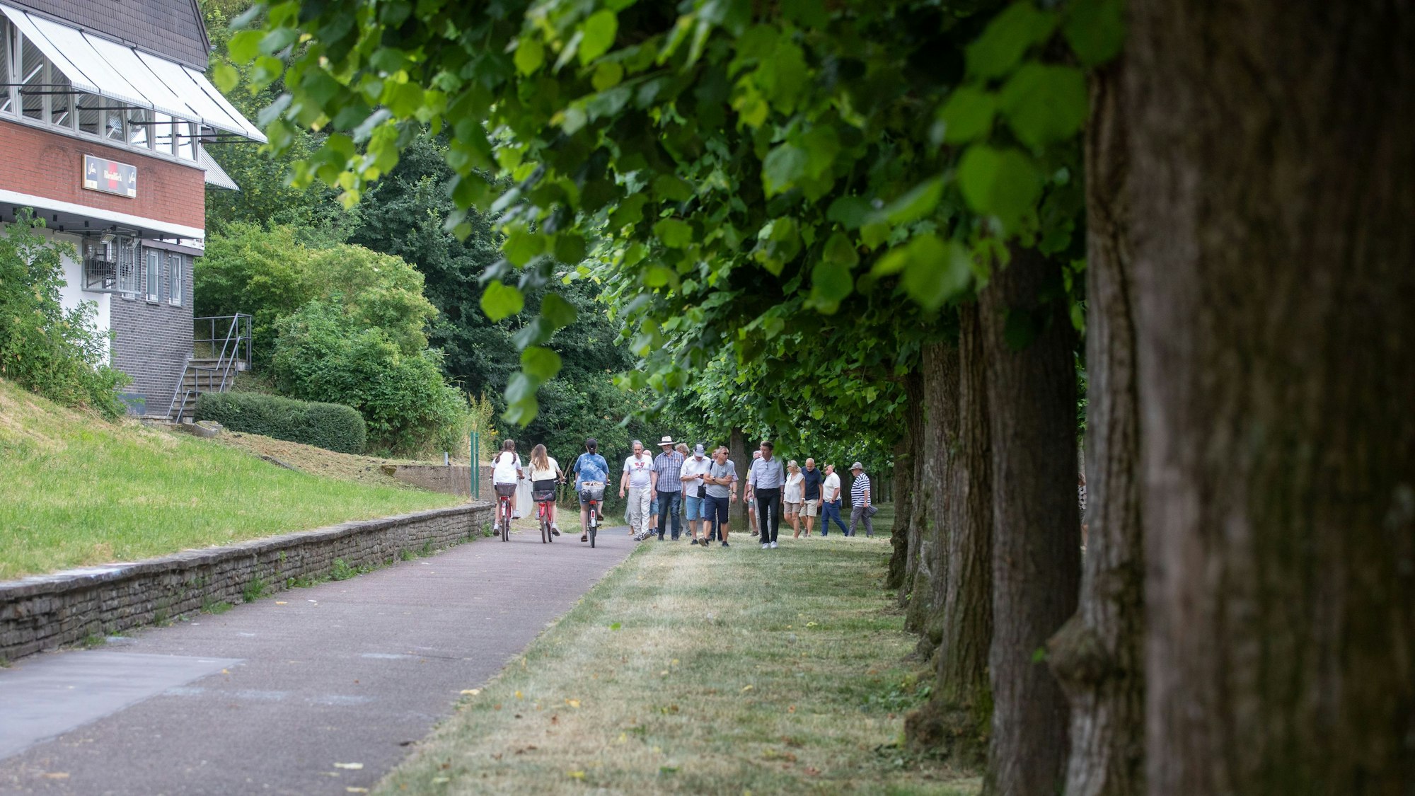 Fußgänger und Radfahrer machen sich gegenseitig den Platz auf dem asphaltierten Weg streitig.