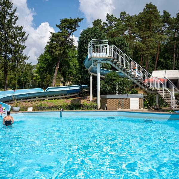 Ein Schwimmbecken und eine Rutsche umgeben von Bäumen.