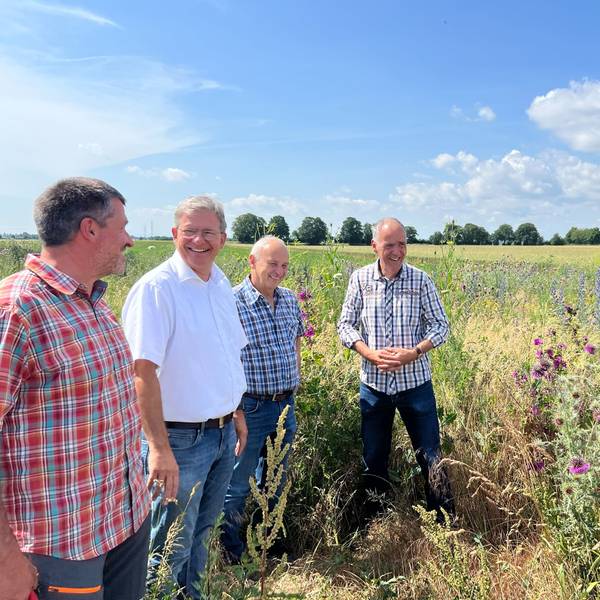 Vier Männer stehen auf einem Feld inmitten von blühenden Blumen.