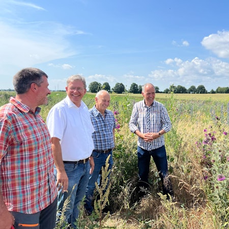 Vier Männer stehen auf einem Feld inmitten von blühenden Blumen.