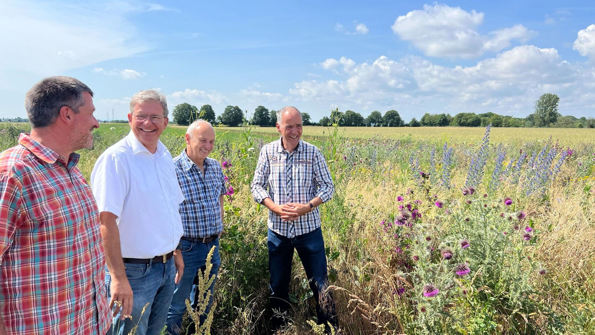 Vier Männer stehen auf einem Feld inmitten von blühenden Blumen.
