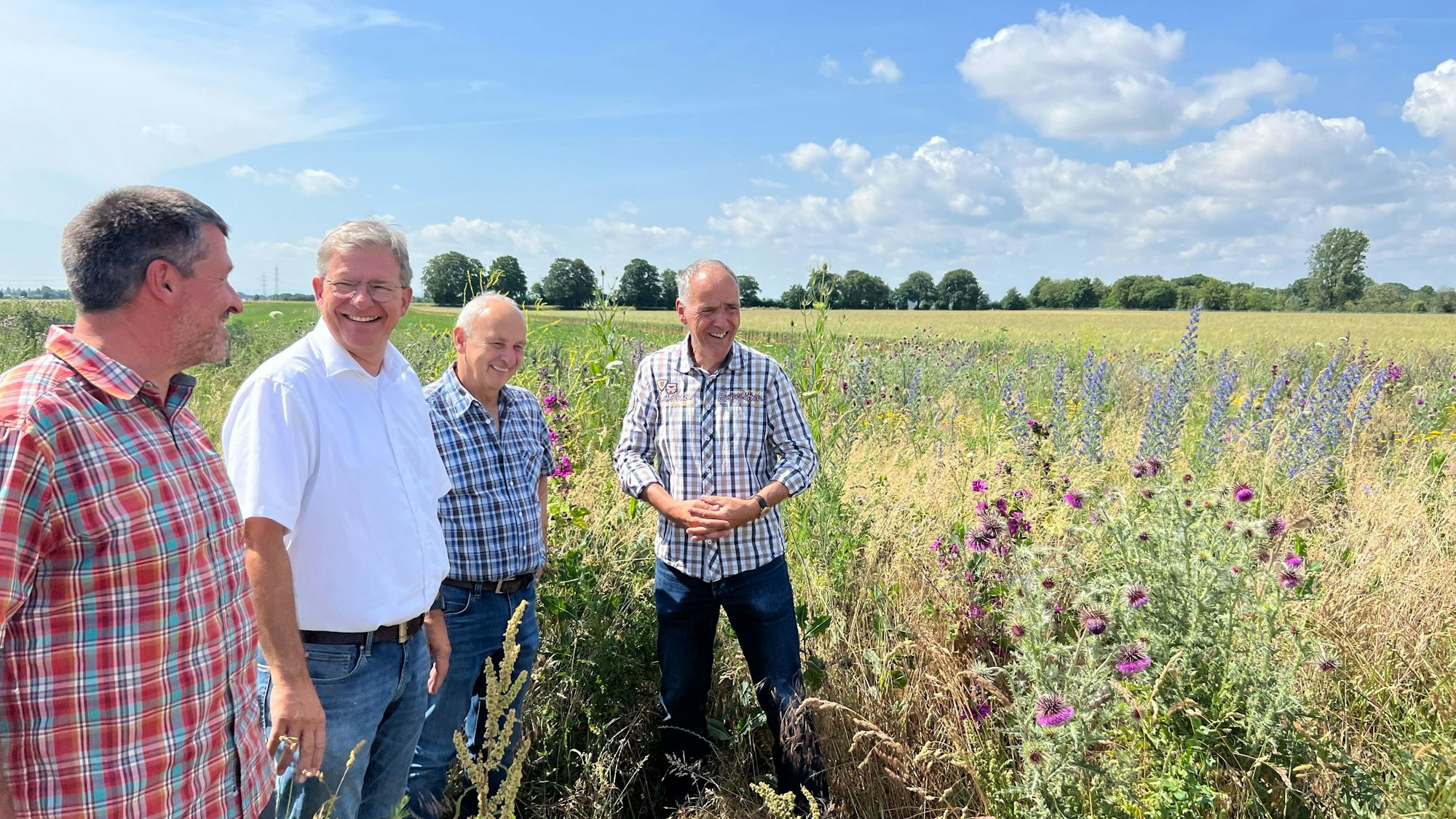 Vier Männer stehen auf einem Feld inmitten von blühenden Blumen.