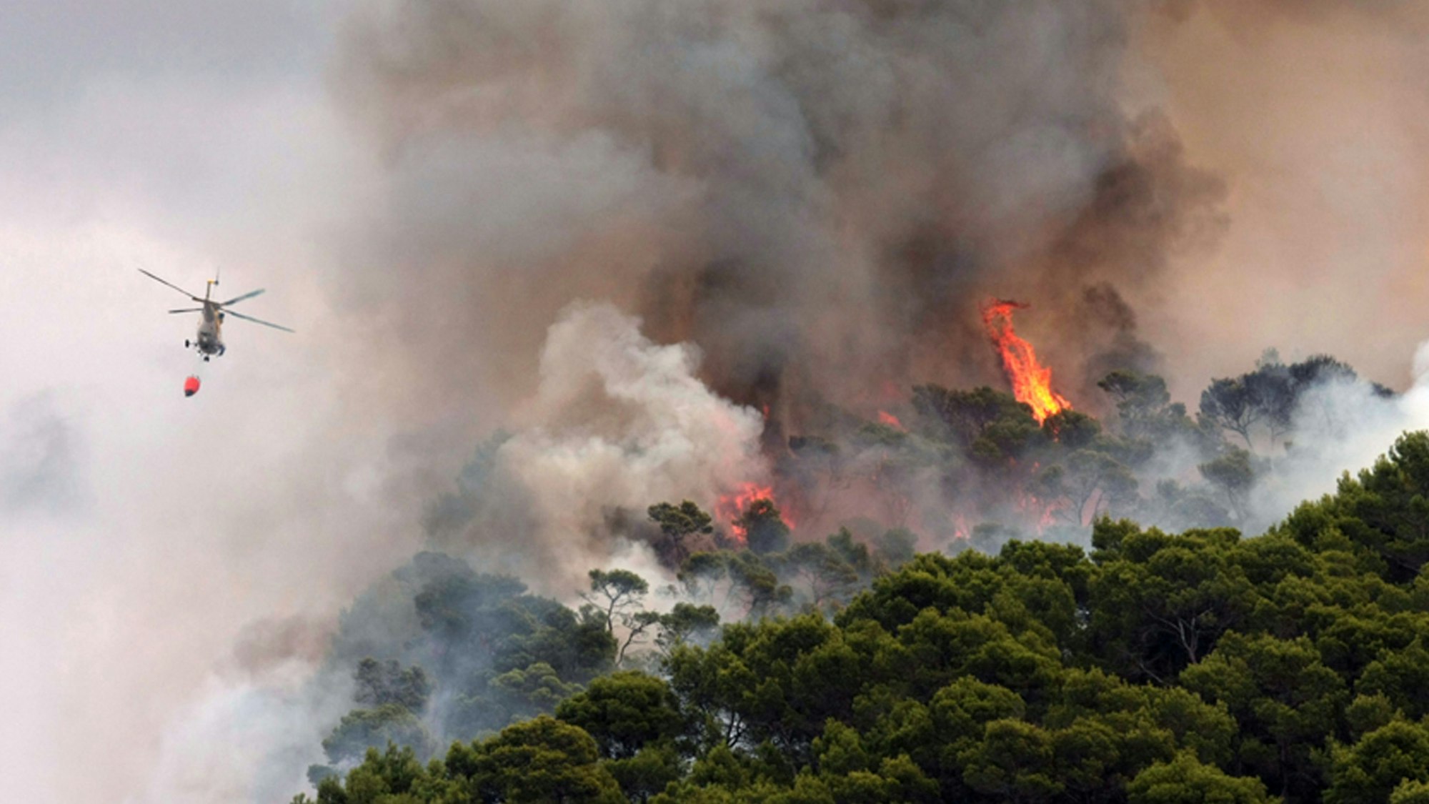 Ein Löschhubschrauber bekämpft einen Waldbrand in der Nähe von Palma de Mallorca. Im Hintergrund sind große Flammen zu sehen. (Archivbild)