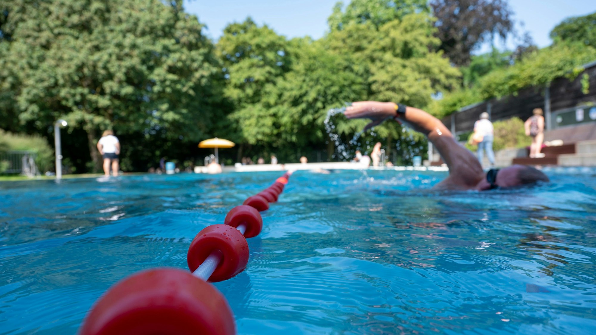 Im Freibad umgeben von Bäumen schwimmen Menschen ihre Bahnen. Eine rote Leine trennte die Schwimmbahnen voneinander.