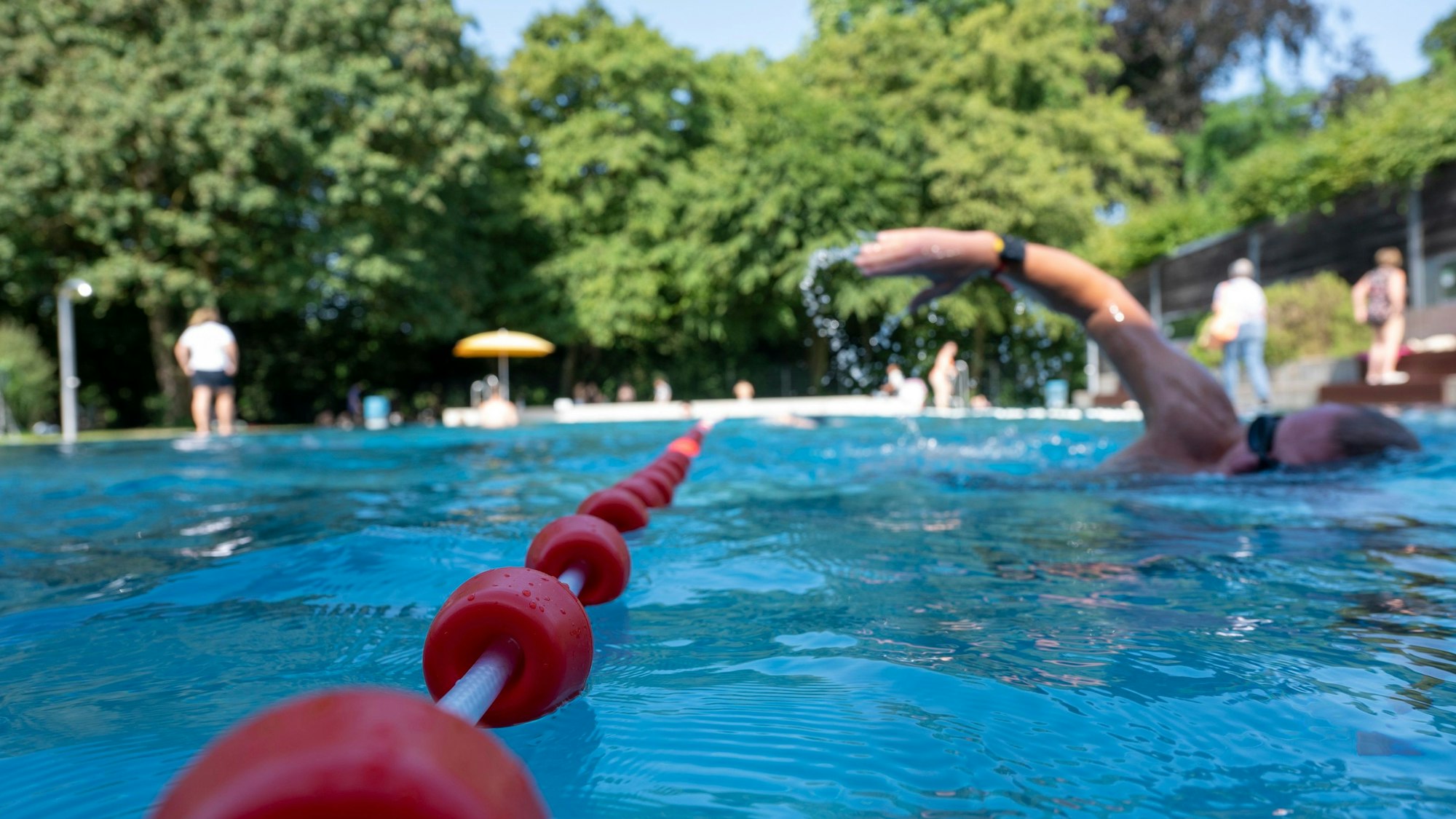 Zu sehen ist ein Freibad und ein Schwimmer.