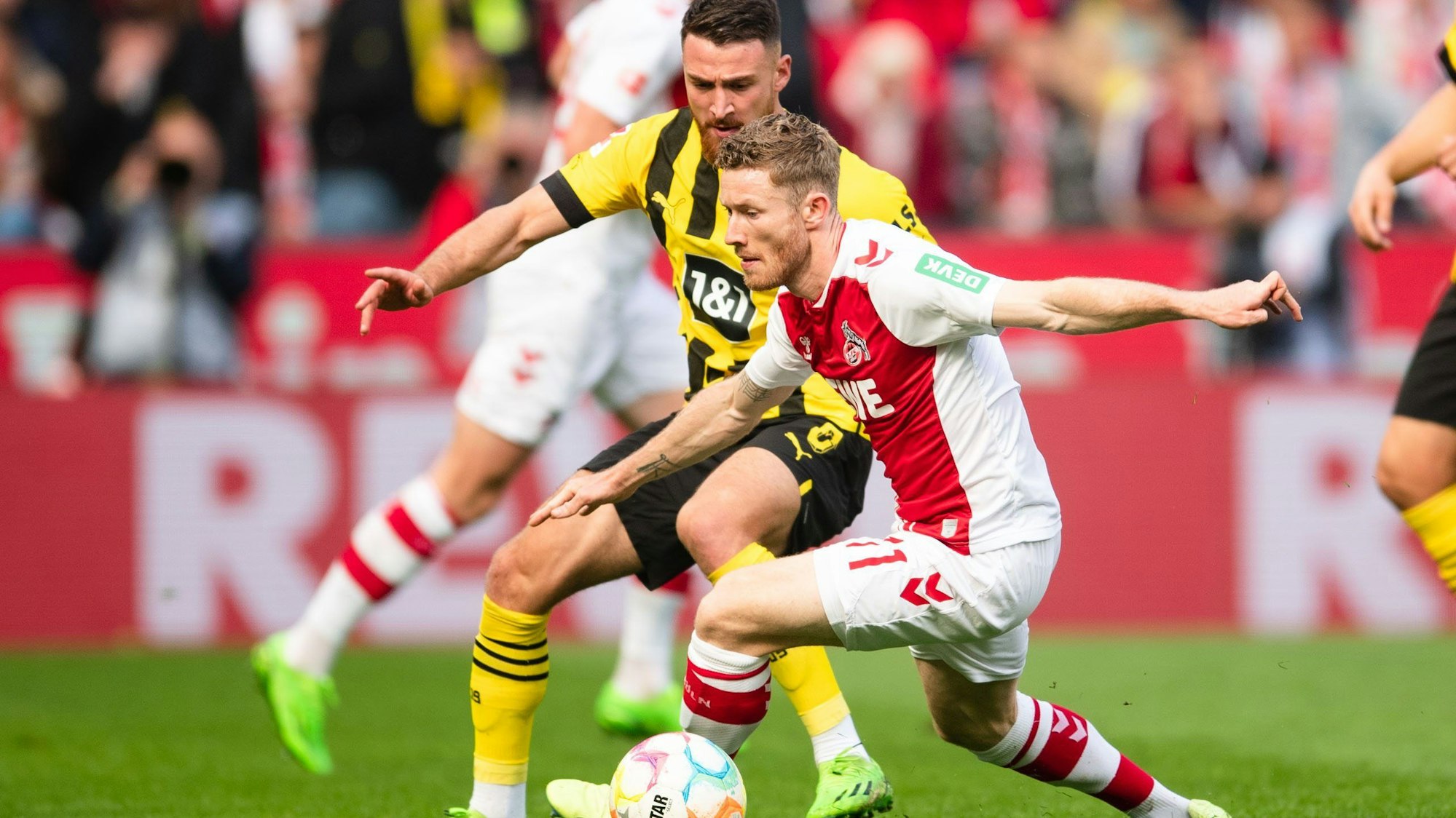 Kölns Florian Kainz (r) und Dortmunds Salih Özcan kämpfen um den Ball.