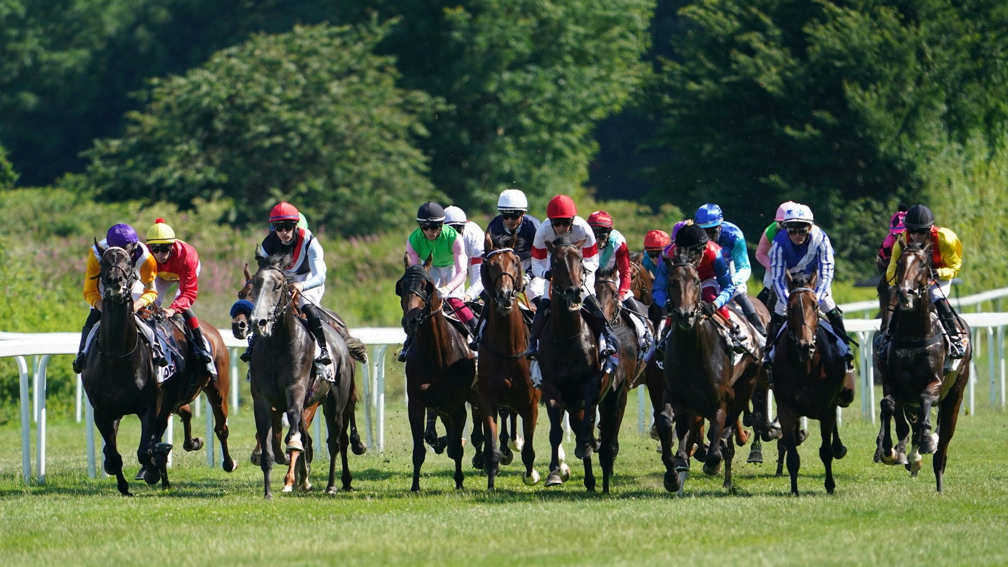 Die Teilnehmer des Deutschen Derbys laufen an der Tribüne vorbei.