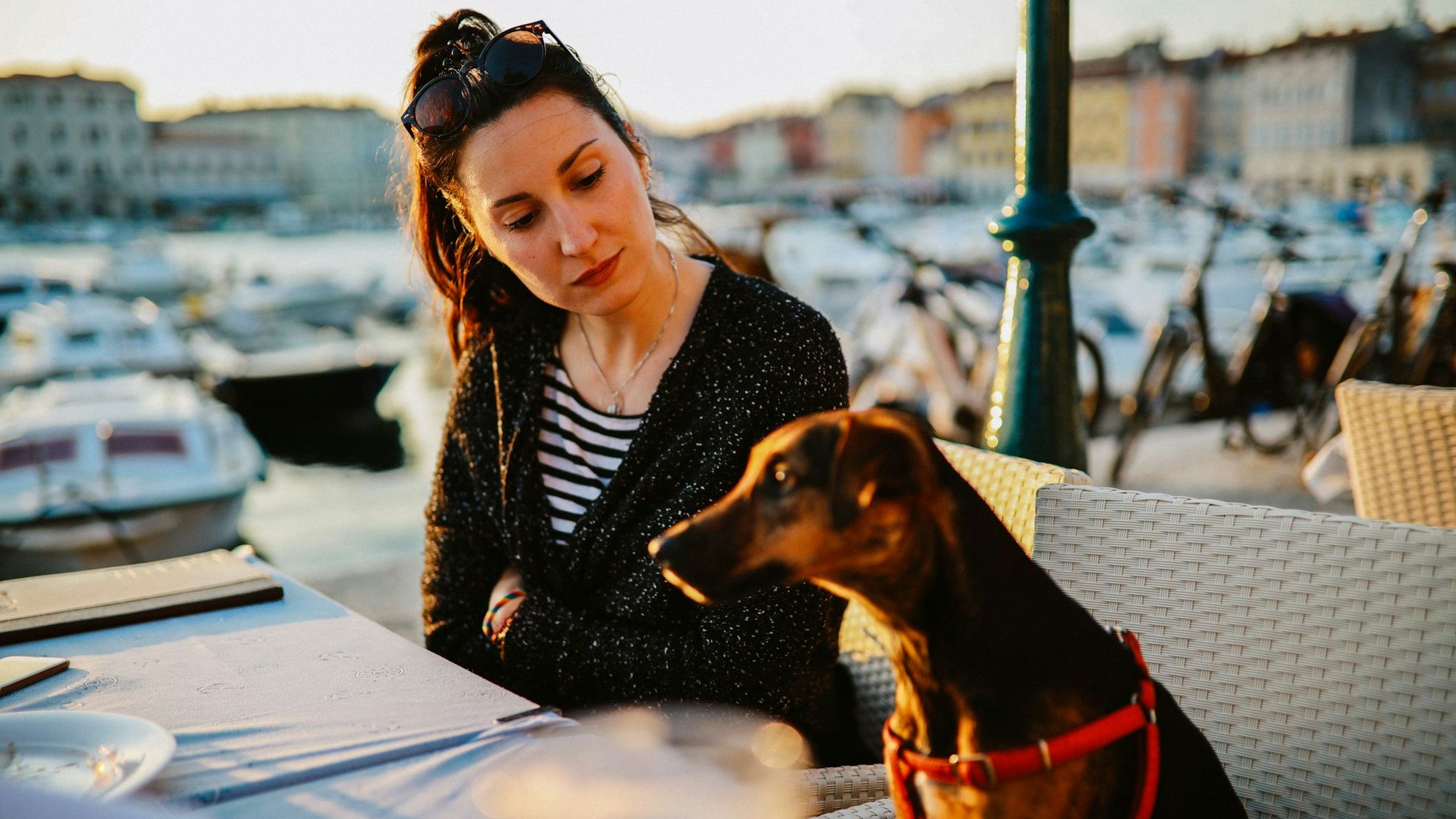 Hund sitzt am Tisch im Restaurant